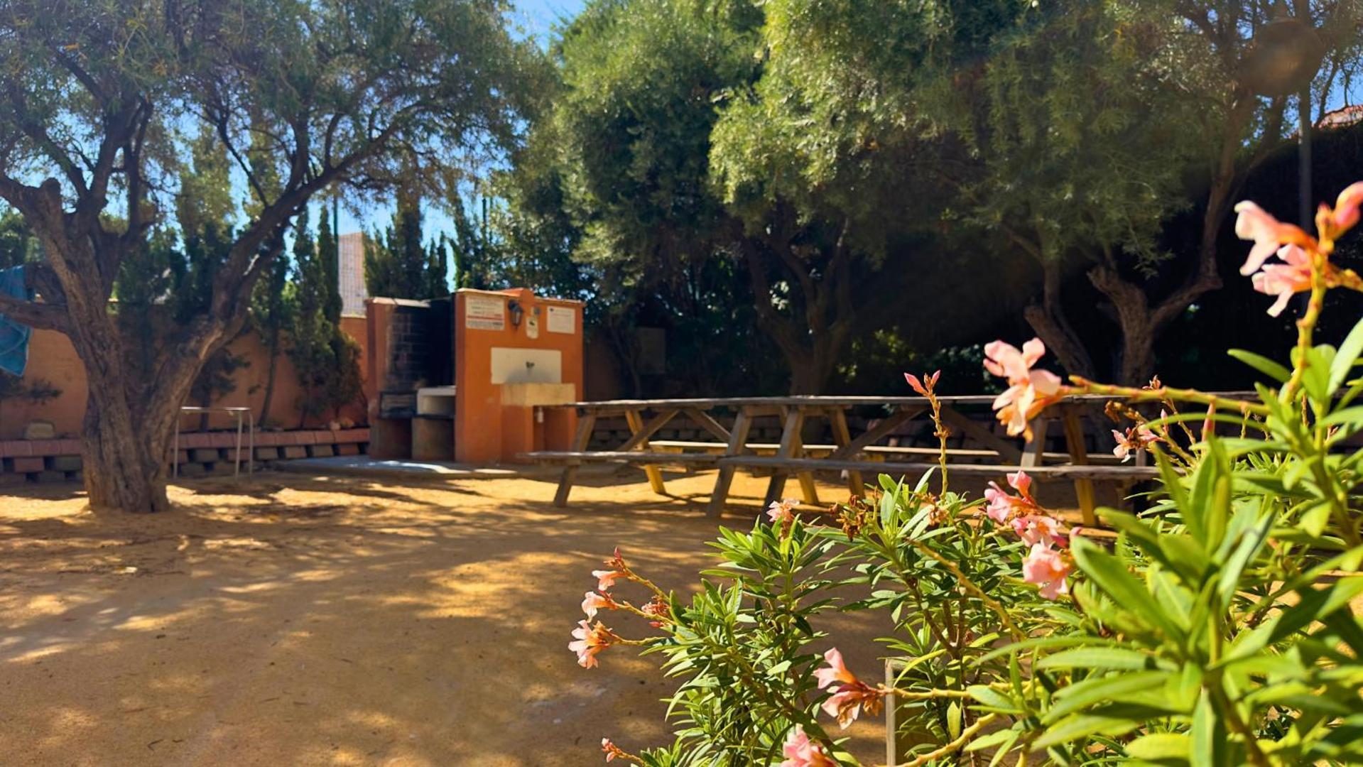 Atico A 50M Del Mar. Parking Gratis. A/C El Campello Exterior foto